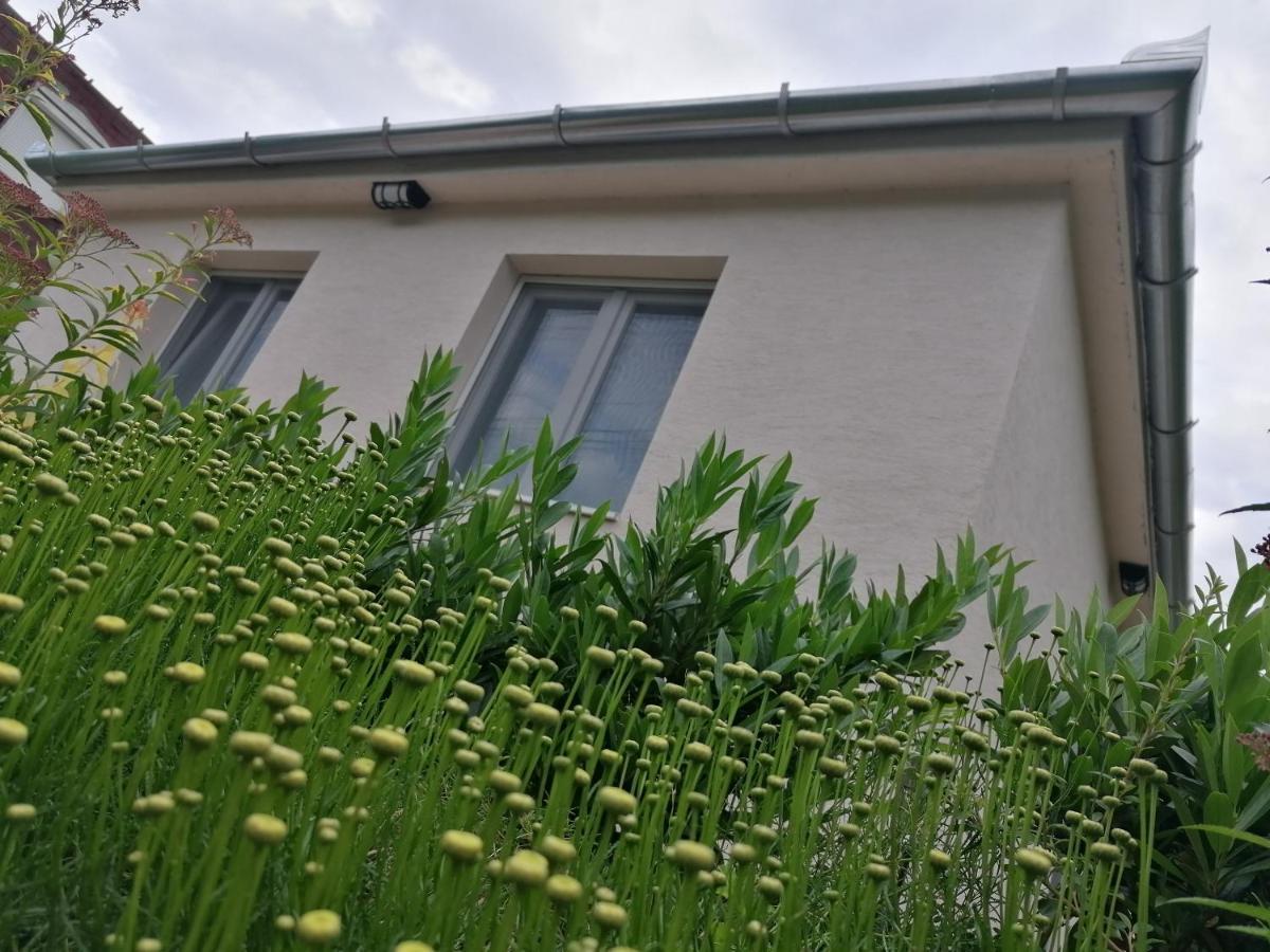 Levelke Mini Apartman Gardony Exterior photo